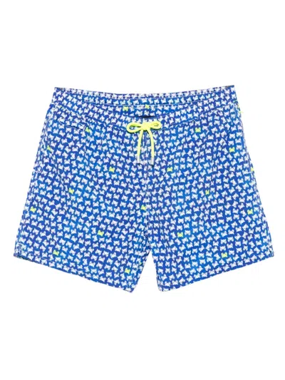 Mc2 Saint Barth Lighting Micro Fantasy Swim Shorts In Blue