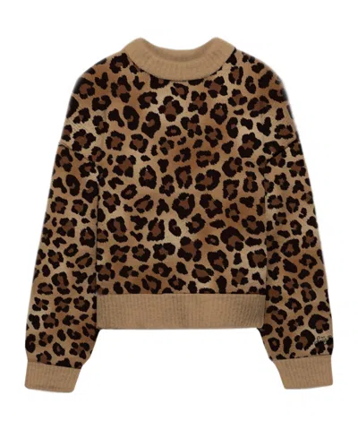 Mc2 Saint Barth Long-sleeved Sweater In Brown