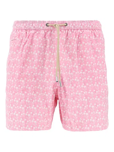 Mc2 Saint Barth Palm Tree-print Swim Shorts In Pink