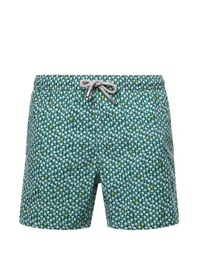 Mc2 Saint Barth Palm Tree-print Swim Shorts In Green