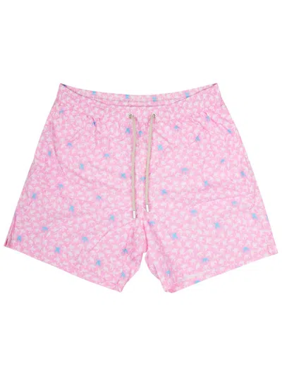Mc2 Saint Barth Turtle-print Drawstring Swim Shorts In Transparent