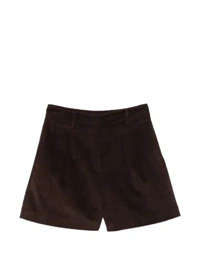 Mc2 Saint Barth Pleated Corduroy Shorts In Multi