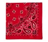 Mc2 Saint Barth Red Bandanna In Red