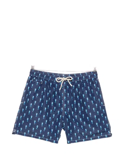Mc2 Saint Barth Seahorse-print Drawstring Swim Shorts In Blue