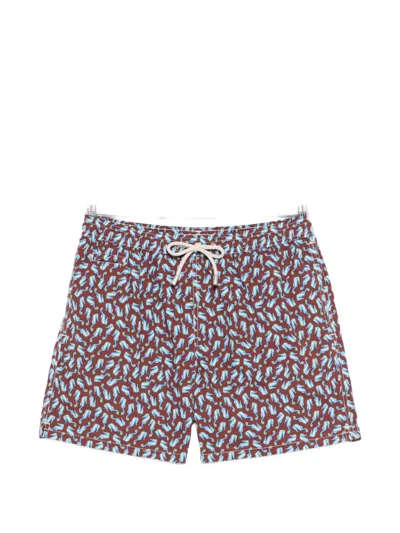 Mc2 Saint Barth Seahorse-print Swim Shorts In Blue