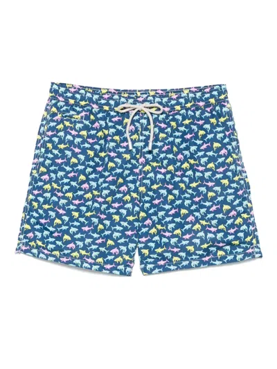 Mc2 Saint Barth Badeshorts Mit Shark Trouble-print In Blau