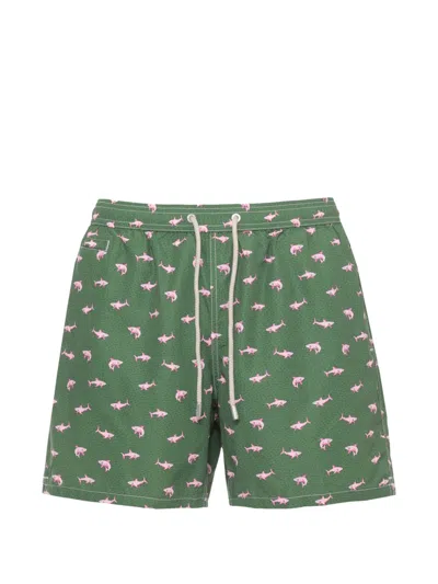 Mc2 Saint Barth Lighting Micro Shark-print Swim Shorts In Green