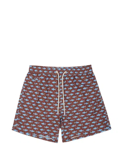 Mc2 Saint Barth Shark-print Drawstring Swim Shorts In Multi