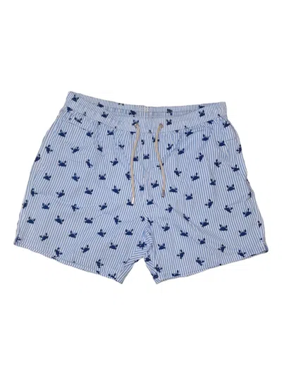 Mc2 Saint Barth Striped Swim Shorts In Blue