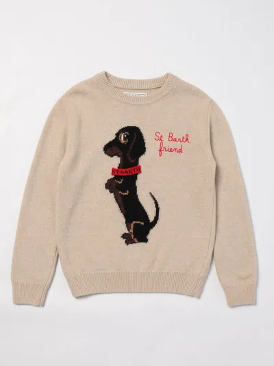 Mc2 Saint Barth Sweater  Kids Color Multicolor In Bunt