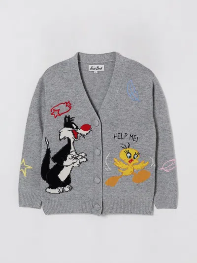 Mc2 Saint Barth Sweater  Kids Color Multicolor In Gray