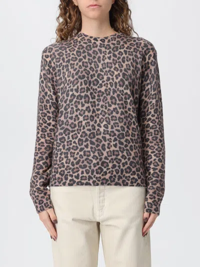 Mc2 Saint Barth Sweater  Woman Color Brown In Multi