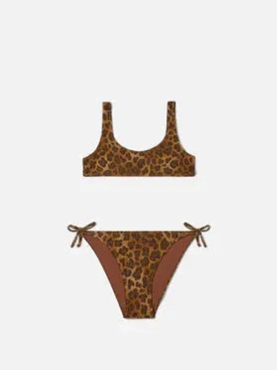 Mc2 Saint Barth Taffy Bralette Bikini Leopard Print In Brown