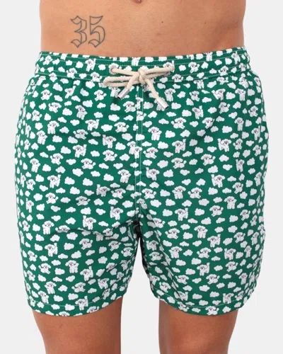 Mc2 Saint Barth Ultralight Swim Short - Sky Dog 51 In Green