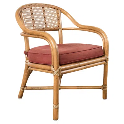 Pre-owned Mcguire Organic Modern Rattan And Cane Back Armchair In Brown