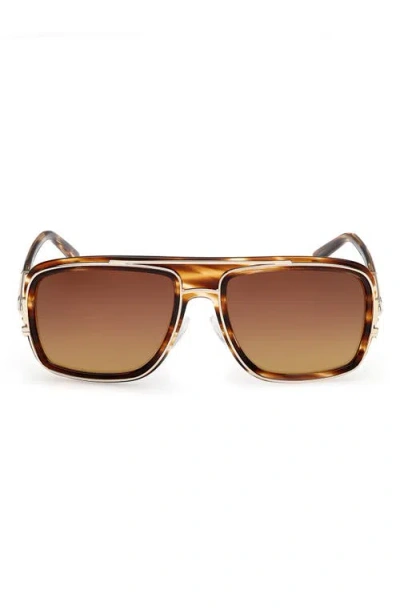 Mcm 57mm Navigator Sunglasses In Havana/other/gradient Brown