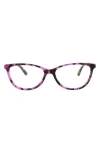 Mcq By Alexander Mcqueen Mcq 54mm Core Cat Eye Optical Glasses In Avana Avana Transparent