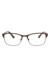 Alexander Mcqueen Mcqueen 49mm Core Rectangle Optical Glasses In Brown Avana Transparent