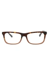 Alexander Mcqueen Mcqueen 52mm Rectangular Optical Glasses In Havana Black Transparent