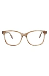 Alexander Mcqueen Mcqueen 53mm Square Optical Glasses In Havana Havana Transparent