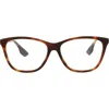 Alexander Mcqueen Mcqueen 54mm Core Square Optical Glasses In Avana Gold Transparent