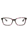 Alexander Mcqueen Mcqueen 54mm Core Square Optical Glasses In Havana Transparent