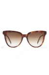 Alexander Mcqueen 53mm Cat Eye Sunglasses In Havana Havana Brown/gbn