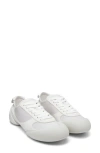 Alexander Mcqueen Mcqueen Flexion Sneaker In Ice/white