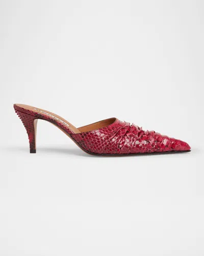 Alexander Mcqueen Ruched Python Mule Pumps In Fuscia Pur