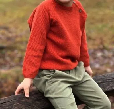 Me & Henry Kids' Roan Crewneck Sweater In Rust In Orange