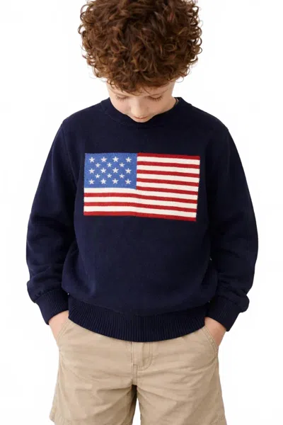 Me & Henry Kids' Usa Sweater In Navy In Blue