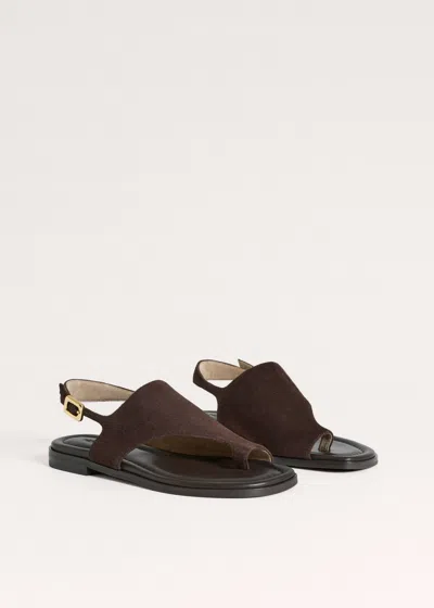 Me+em Asymmetric Toe Loop Sandal Chocolate In Brown