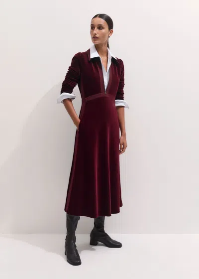 Me+em Ponte Collared Cord Velour Midi Dress Barolo Red In Burgundy