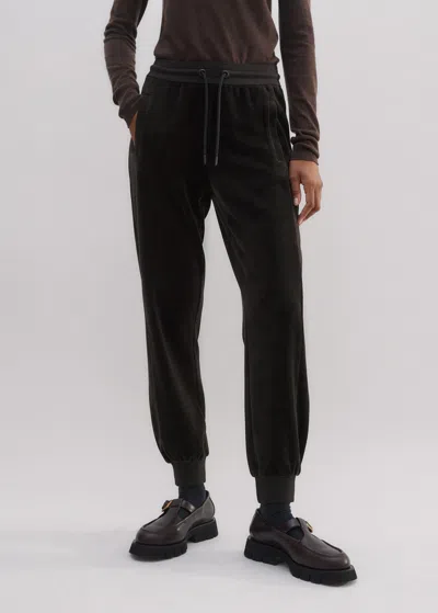 Me+em Rib Trim Velour Jogger In Double Espresso