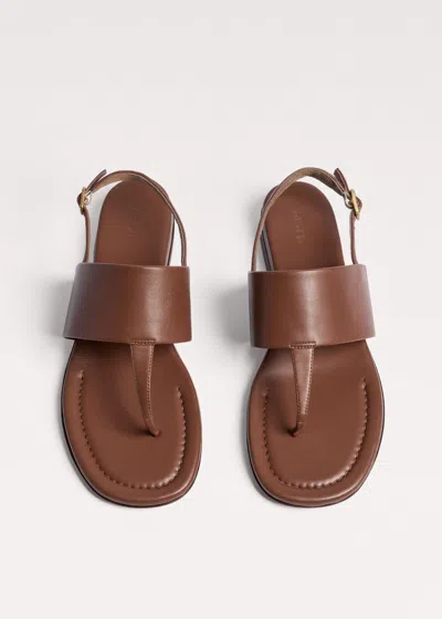 Me+em Toe-post Sandal Tan In Brown