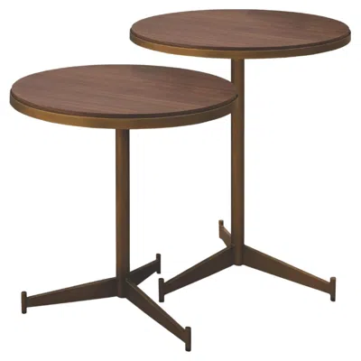 Pre-owned Medea Roma Low Table In Brown