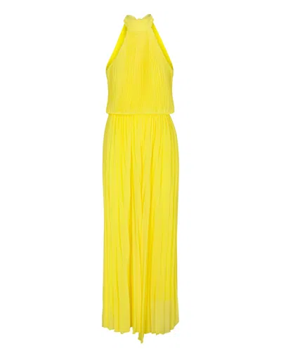 Meghan Fabulous Women's Yellow / Orange Wild Orchid Pleat Jumpsuit - Yellow In Yellow/orange