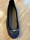 Meher Kakalia Women Bizi Ballet Shoes In Navy