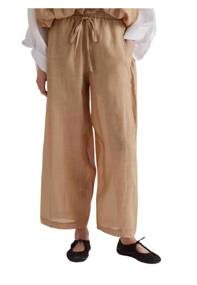 Meimeij Women's Trousers  In Brown
