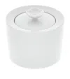 Meissen Royal Blossom Sugar Bowl In White