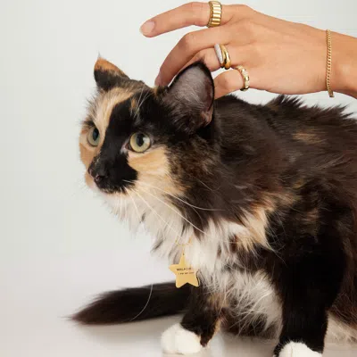 Mejuri Star Pet Tag In Yellow