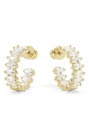 Melinda Maria Baby She's So Fine Cubic Zirconia Hoop Earrings In Goldhite