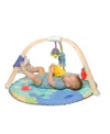 Melissa & Doug Ocean Easy-fold Play Gym In Multi-color