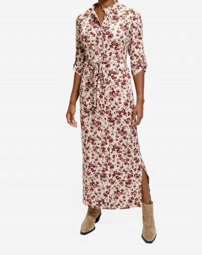 Melissa Masse Belted Pope Collar Shirt Dress In Merlot Spots In Multi