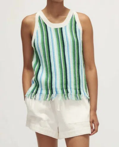 Melissa Nepton Pacifico Stripe Sweater Tank In Green Stripe In Multi