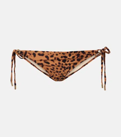 Melissa Odabash Cancun Leopard-print Bikini Bottoms In Multi