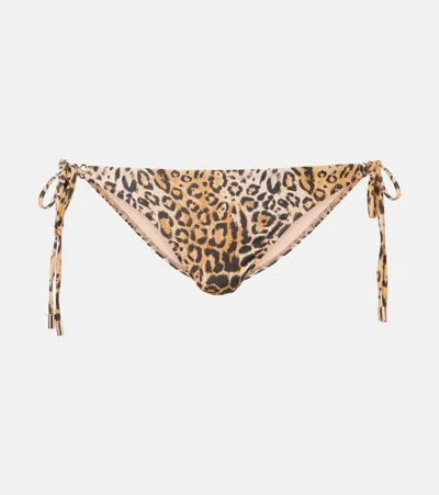 Melissa Odabash Costa Leopard-print Bikini Bottom In Brown