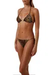 Melissa Odabash Miami Bottom In Cheetah In Multi