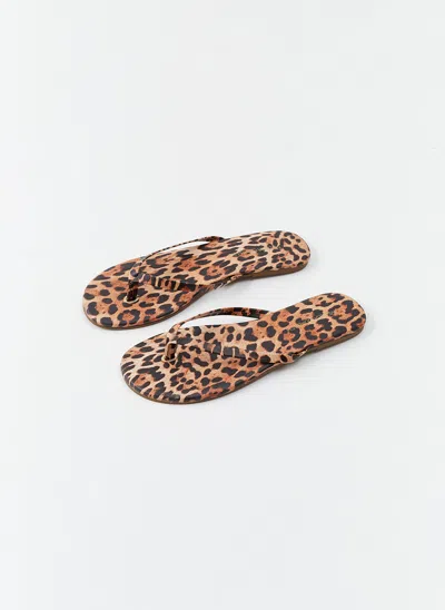Melissa Odabash Sandals Cheetah In Animal Print