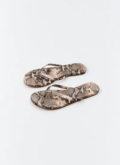 Melissa Odabash Sandals Snake In Animal Print